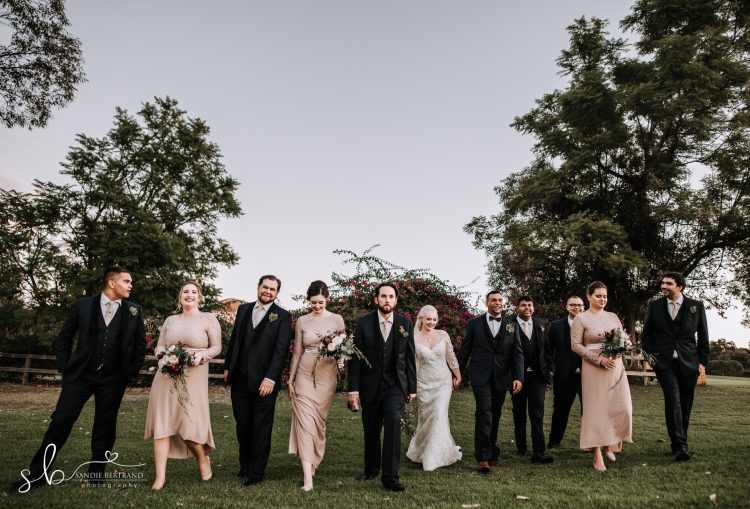 the vines wedding bridal party walking