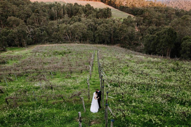 darlington estate wedding