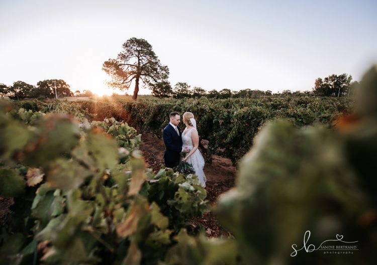 mandoon wedding bride and groom vines atsunset